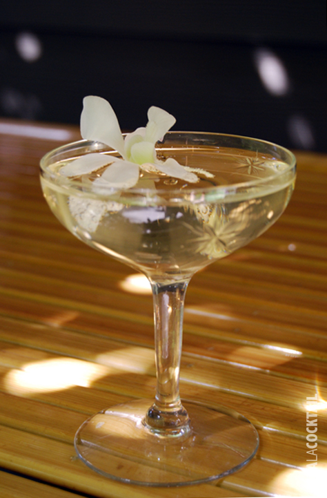 caribbean royale rum tiki drink
