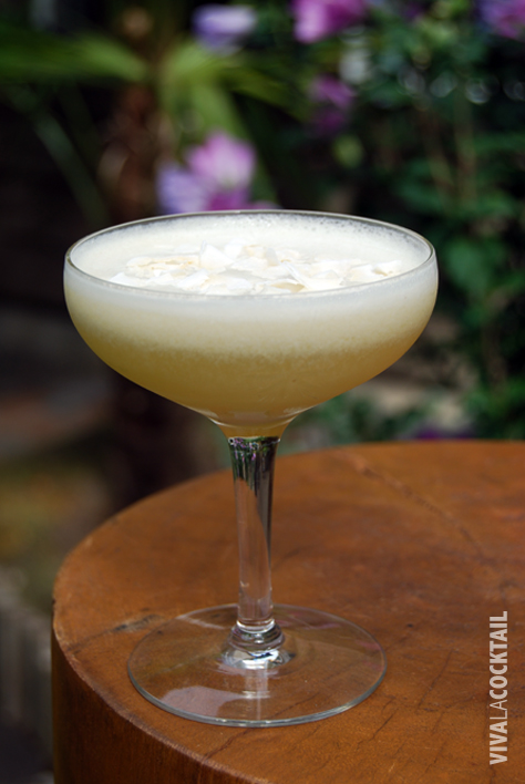 sorbet in the sun rum tiki drink